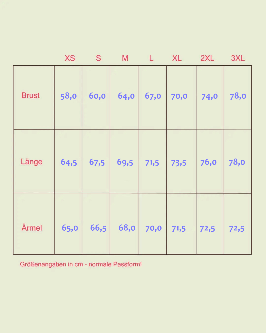 Raider // Bomberjacke