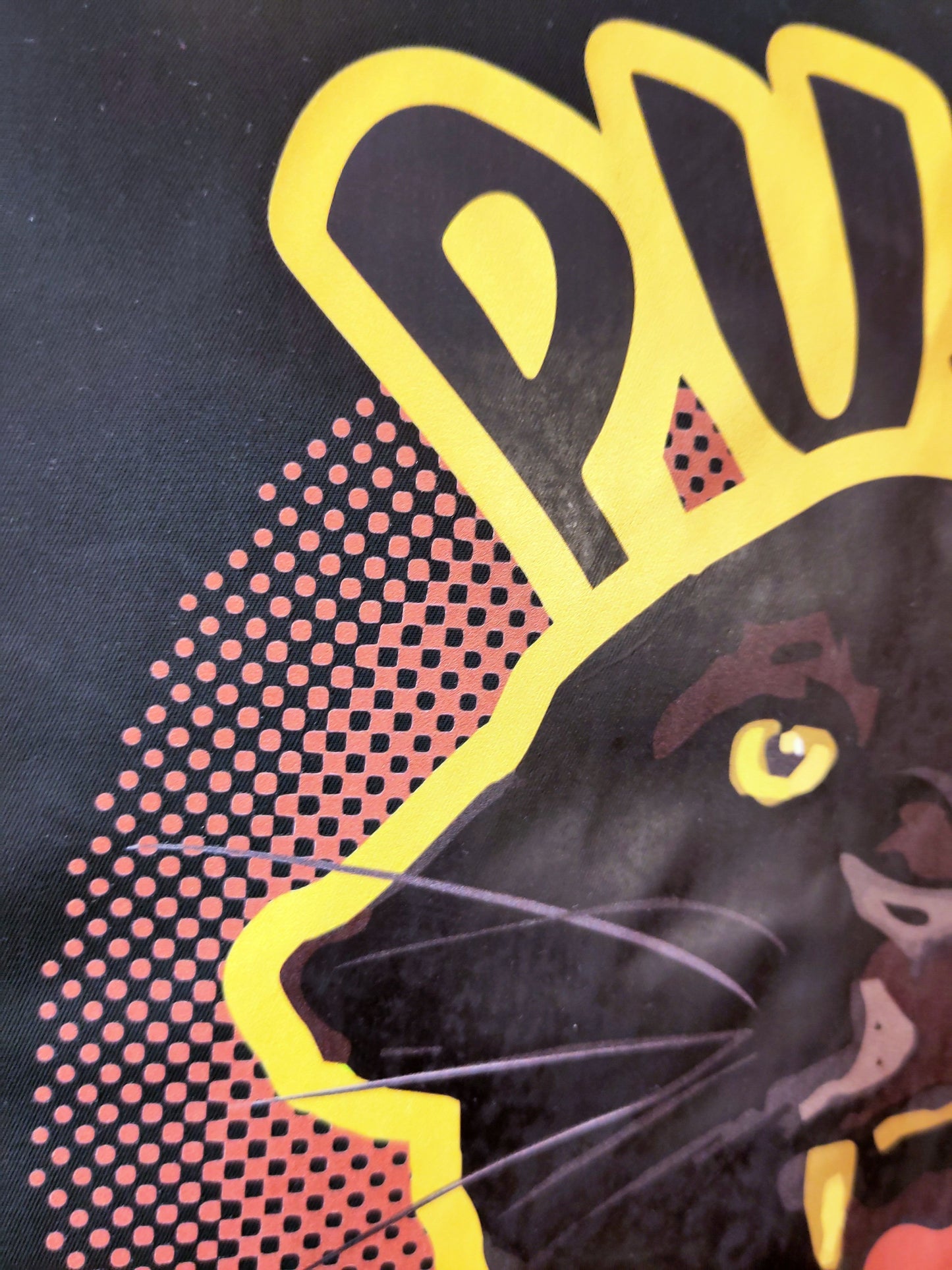 Detail eines Panther-Portrait im 80s/90s Retro Stilmix mit dem Schriftzug ‚Pussy Riot‘ (nur ausschnittweise zu lesen) auf einer Bomberjacke, Backprint, Schwarz